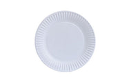 Paper Plates 6
